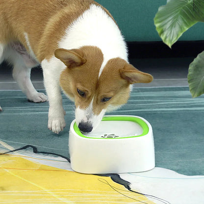 Anti-Overflow Pet Fountain: Slow-Feeding Water Dispenser for Cats and Dogs