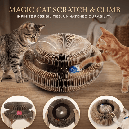 Magic Cat Scratch & Climb Toy - Interactive Corrugated Scratching Board with Ball for Happy Kittens
