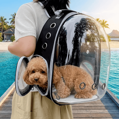 Pet Panoramic Space Capsule - Portable Transparent Outdoor Cat Backpack for Adventures