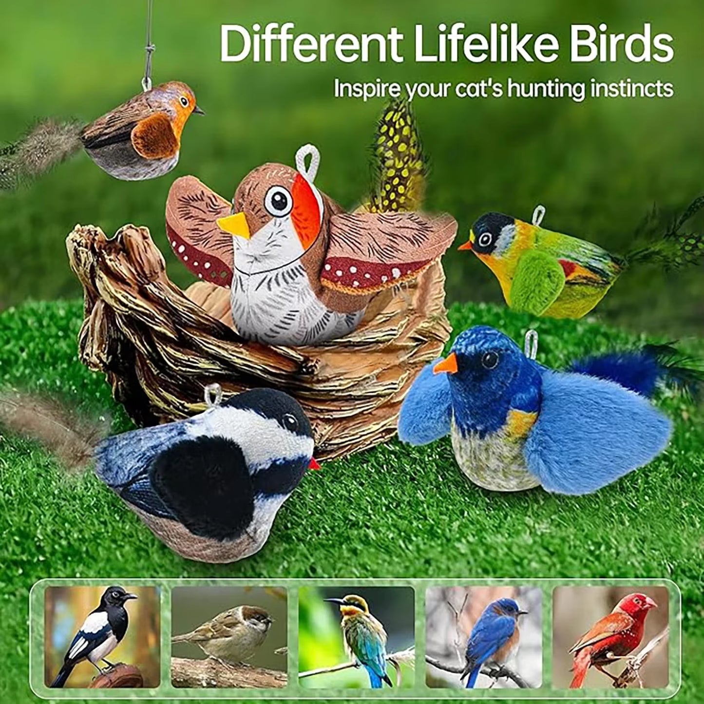 Interactive Cat Teaser Toy - Wall Hanging Birds with Catnip & Sounds for Endless Fun!