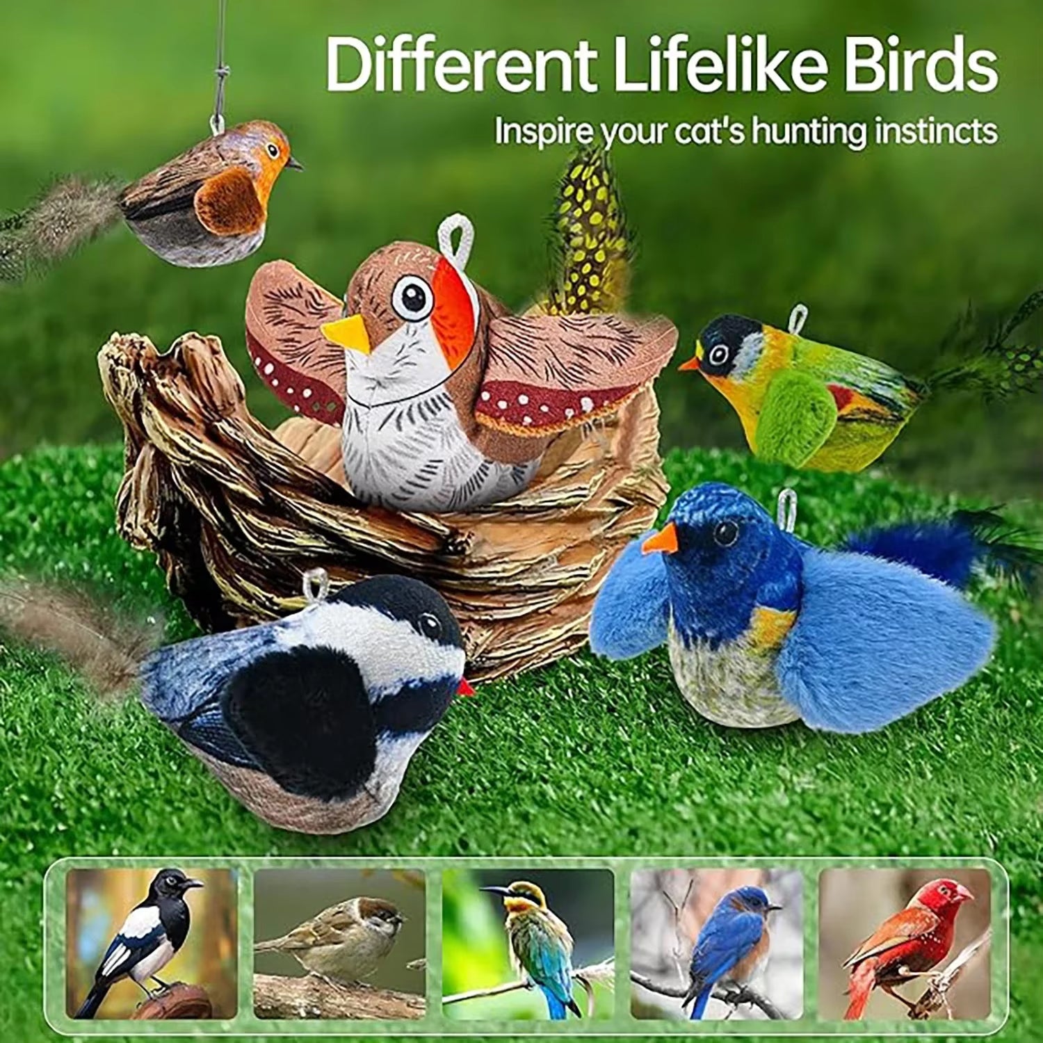 Interactive Cat Teaser Toy - Wall Hanging Birds with Catnip & Sounds for Endless Fun!